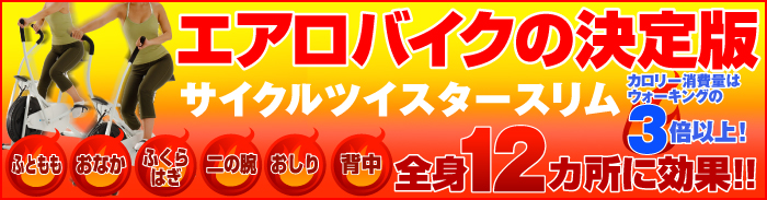 �G�A���o�C�N �̔���